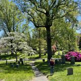 Grave Beginnings: Walking Green-Wood