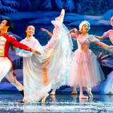 The Nutcracker
