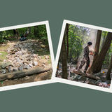 Trail and Forest Road Maintenance as Forest Management