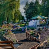 Helvetia Lavender Festival 2026