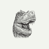 Tiny Treasures: Fossil Sorting