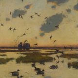 Wings and Wilderness: Birds and Landscapes of the Northeast