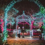 Winter Garden aGlow