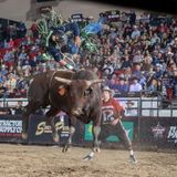 PBR Ram Challenger Series