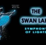 Swan Lake: Symphony of Lights