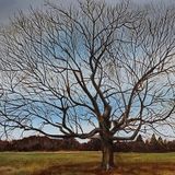 Watercolor & Landscape Course