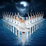 Swan Lake