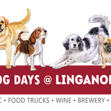 DOG DAYS: Brave Babes Animal Rescue
