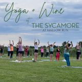 Yoga + Wine