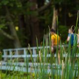 Early Birders: Birding with Young Ones