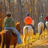Horseback Riding