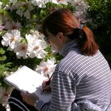 Sketching in the Garden