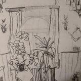 Contour Drawing