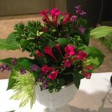 Simple Flower Arranging