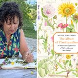 Drawing Flowers by Family