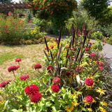Planning Your Fall Landscape