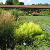 Home Landscape Design