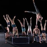 Gravity & Other Myths