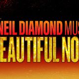 A BEAUTIFUL NOISE
