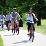 Bike Rental