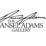 The Ansel Adams Gallery Photography Walk (Yosemite Valley)