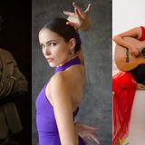 Flamenco Nights