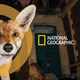 National Geographic Live