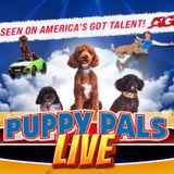 Puppy Pals