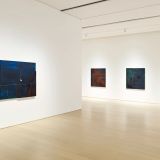 Seeing in Blue