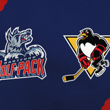 Hartford Wolf Pack