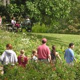 Free Saturday Tours