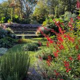 Late Summer Garden Walkabout