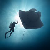 The Last Dive