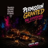 Permission Granted: The Experience