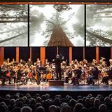 Reading Symphony Orchestra