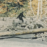 Capturing Bigfoot