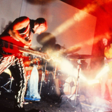 Butthole Surfers: The Hole Truth and Nothing Butt
