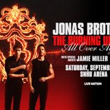 The Jonas Brothers