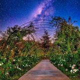 Nevada Days at Starfield Vineyards