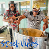 Steel Vibes