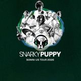 Snarky Puppy