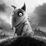 Frankenweenie