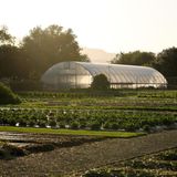 Culinary Garden Tours