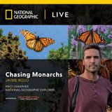 Chasing Monarchs