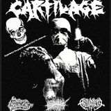 CARTILAGE Intrepid Onslaught Paralysis Expletive Absurdity
