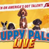 Puppy Pals Live