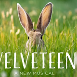 Velveteen Rabbit
