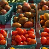 Market Days