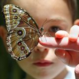 Pollinator Pairs (Adult/Child Workshop)