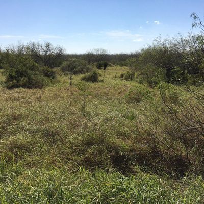 Palmito Ranch Battlefield State Historic Site • ★3.9 (18) on ...